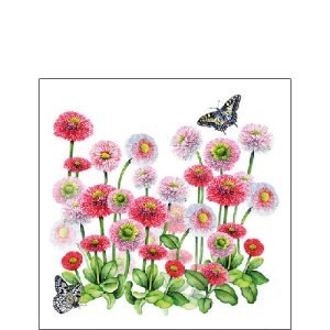 Cocktail Napkin - Bellis