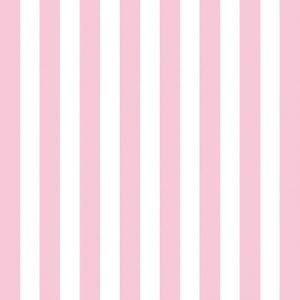 Lunch Napkin - Stripes ROSE