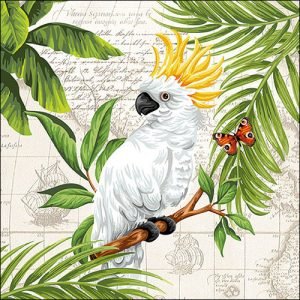 Lunch Napkin - Cockatoo