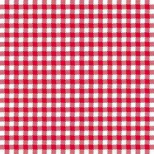 Lunch Napkin - Vichy RED