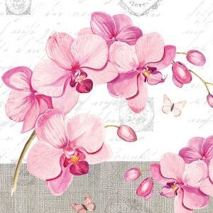 Lunch Napkin - Orchids with Love
