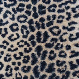 Lunch Napkin - Wildlife Pattern