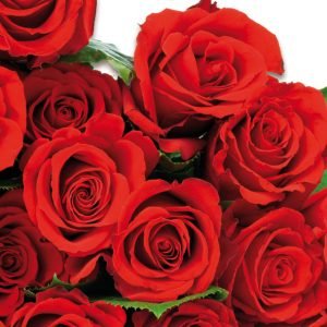 Lunch Napkin - Red Roses