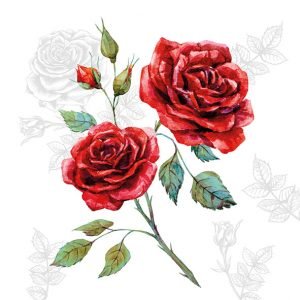 Lunch Napkin - Grace