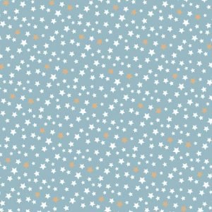 Lunch Napkin - Assorted Stars Pattern on LIGHT BLUE