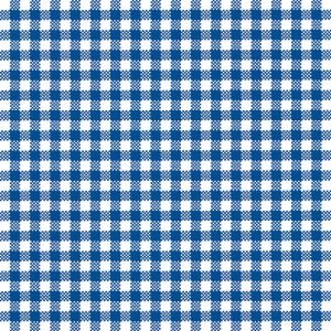 Lunch Napkin - Vichy BLUE