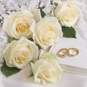 Lunch Napkin - White Wedding
