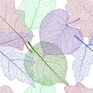 Lunch Napkin - Skeleton Leaves