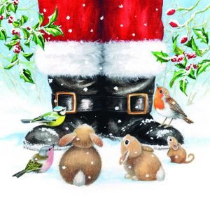 Lunch Napkin - Looking Up To Santa