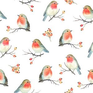 Lunch Napkin - Robin Family