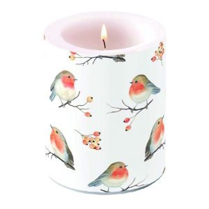 Candle LARGE - Robin Family