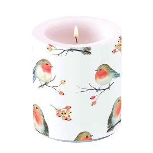 Candle MEDIUM - Robin Family