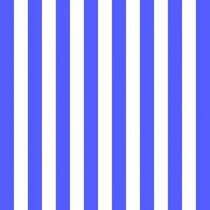 Lunch Napkin - Stripes Peri