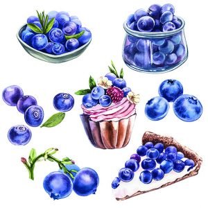 Lunch Napkin - Blueberries