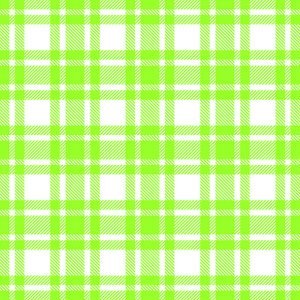 Lunch Napkin - Checkered Pattern Green
