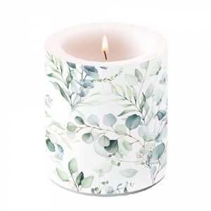 Candle MEDIUM - Eucalyptus All Over