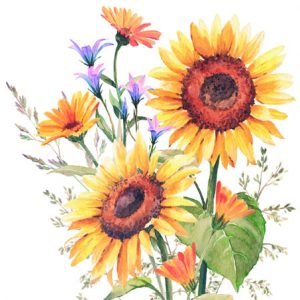 Cocktail Napkin - Sunflowers