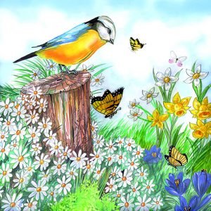 Lunch Napkin - Bird Watching