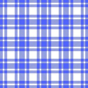 Lunch Napkin - Checkered Pattern Peri