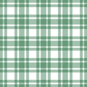 Lunch Napkin - Checkered Pattern Sage