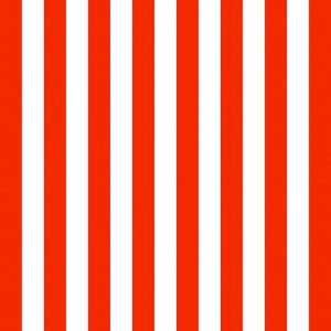 Lunch Napkin - Stripes Orange