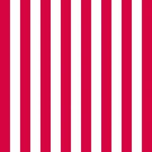 Lunch Napkin - Stripes Red