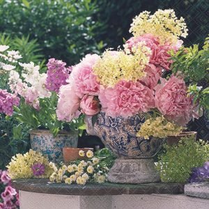 Cocktail Napkin - Potted Flowers