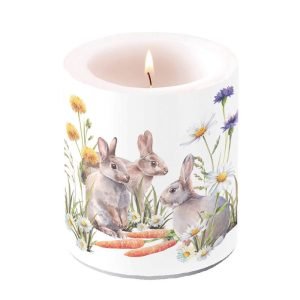 Candle MEDIUM - Carrot Treat