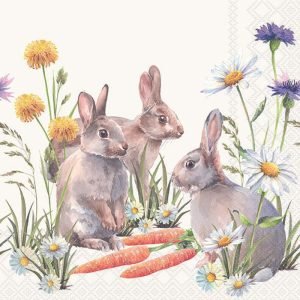 Lunch Napkin - Carrot Treats