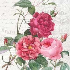 Cocktail Napkin - Amber