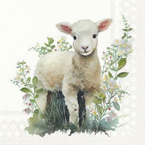 Cocktail Napkin - Lamb