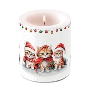 Candle MEDIUM - Funny Cute Kittens