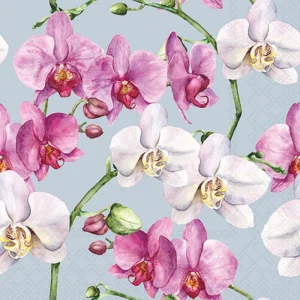 Cocktail Napkin - Elegant Orchids BLUE