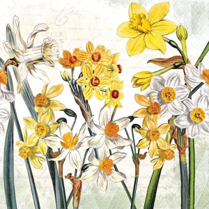 Lunch Napkin - Narcissus
