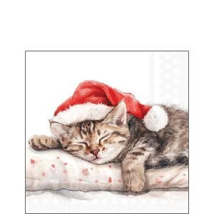 Cocktail Napkin - Dreaming About X-mas