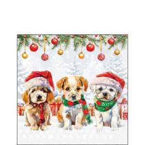 Cocktail Napkin - Funny Cute Puppies