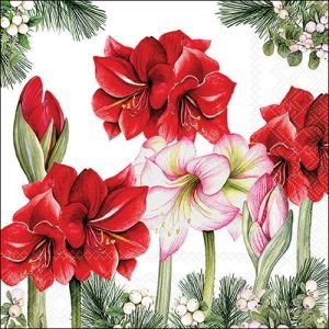 Lunch Napkin - Blooming Amaryllis WHITE