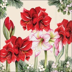 Lunch Napkin - Blooming Amaryllis CREAM