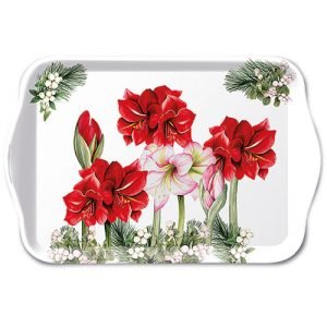 TRAY - Blooming Amaryllis WHITE (13 x 21cm)