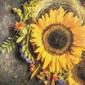 Cocktail Napkin - Sunny Autumn