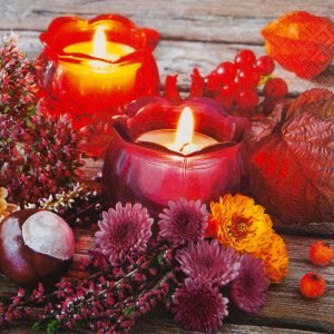 Cocktail Napkin - Autumn Lantern