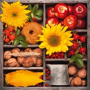 Cocktail Napkin - Autumn Composition