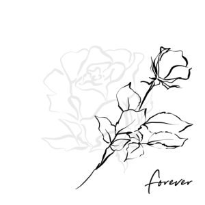 Lunch Napkin - Forever in my Heart black