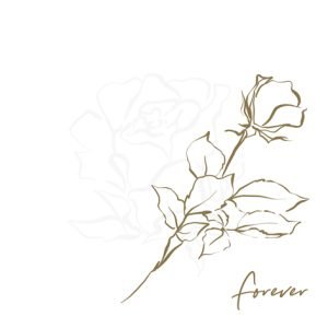 Lunch Napkin - Forever in my Heart gold