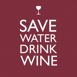 Lunch Napkin - Save Water Drink Wine