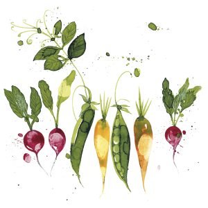 Lunch Napkin - Green Vegetable