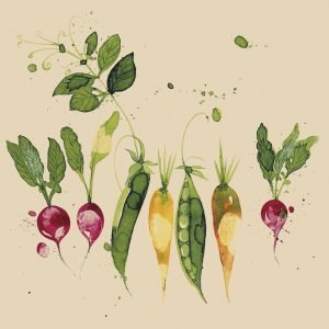 Lunch Napkin - Green  eco