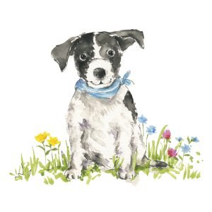 Lunch Napkin - Bobby
