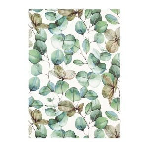 Greeting Card - Eucalyptus Leaves