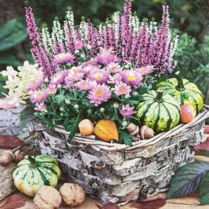 Lunch Napkin - Autumn Basket